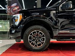 فۆرد F-150